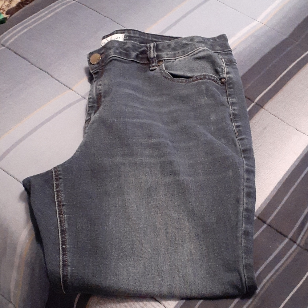 Lane Bryant women's jeans size 18 short